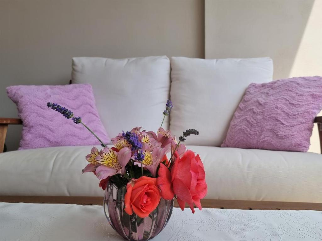 Apartments Ragusa Ρόβινι Εξωτερικό φωτογραφία
